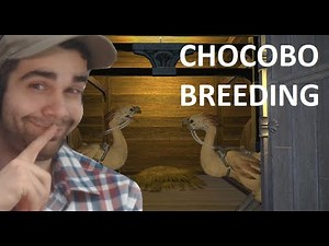 Chocobo Breeding GUIDE - Final Fantasy XIV