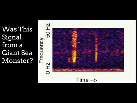 Sea Monster? Science Experiment? Or Something Else? The (Solved!) Mystery of the Bloop