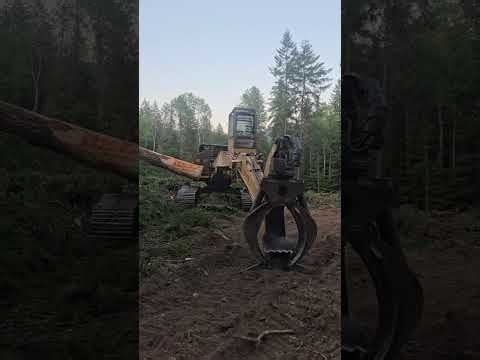 Day one with the Timbco 445 feller buncher on the job.