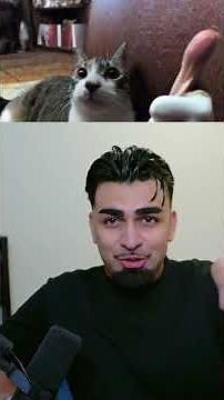 Which Of My Subscribers Has The Most Subscribers 🤔