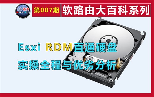 007.RDM直通硬盘实操与分析【软路由大百科系列】比尔迈克出品