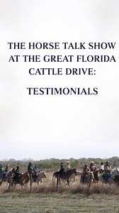Testimonials from participants at the Great Florida Cattle Drive & Reunion Rides #thegreatfloridacattledrive #alivinglegacy #floridacattle With Carlton Ward | The Horse Talk Show