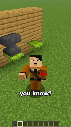 Best Minecraft Tips Of All Time 7
