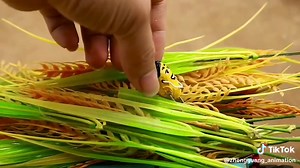 DIY Mini Rice Thresher Tractor for Kids | Handmade Machinery Toy