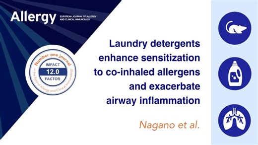 Laundry Detergents Enhance Sensitization to Co-Inhaled Allergens and Exacerbate Airway Inflammation | Allergy EAACI