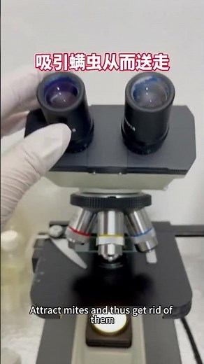 000X Magnification: What’s Inside an Anti-Mite Pad?