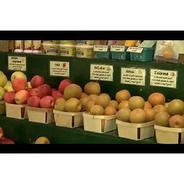 Extension Tree Fruit Team – Putting Knowledge to Work