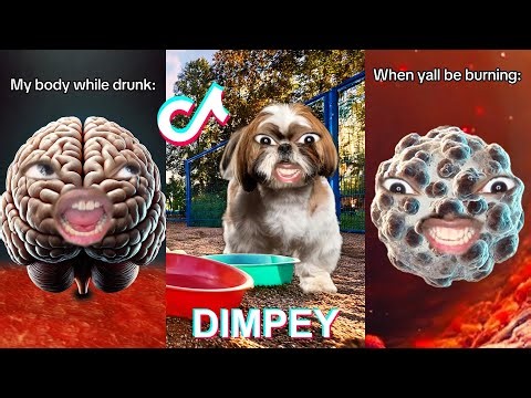 * NEW * Funny DIMPEY Shorts Compilation 2025 | Best ItsDimpey TikToks
