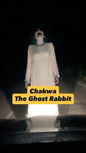 This is one of those Konkan night horror stories people don’t forget. Locals call it Chakwa — a supernatural rabbit seen on haunted Konkan roads, usually late night. It doesn’t harm you. It traps you in directionless walking. Many have shared a rabbit ghost story where the road keeps repeating, and the traveler slowly drifts toward the forest. This rabbit that misleads travelers has been part of Chakwa folklore Maharashtra for generations. We witnessed a mysterious rabbit sighting near Aare Ware