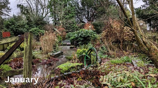 Walton Hall and Gardens has changed through the seasons this year and Warrington Guardian Camera Club member Tony Crawford was on hand to chart the changes. At the beginning of 2025, we asked our avid amateur photographers to take a picture on the first of every month in the same location somewhere in Warrington. We had Sankey Valley Park and Appleton as well as Lymm and Walton Gardens. The same 'One Photo A Month' challenge will be running in 2026 - email Tabitha.wilson@newsquest.co.uk if you w