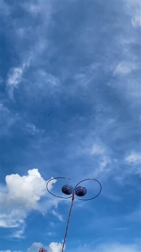 172K views · 2.8K reactions | A coincidence occurred when an unknown bird flew over the sky above the device. #Synchronicity | MineStone OnEarth | Facebook