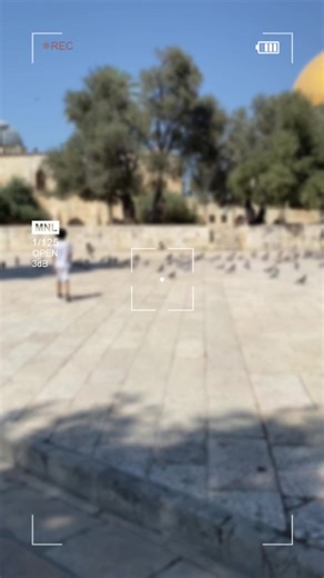 הסרטונים של candles nest (@candles_nest) עם original sound - Akkar Trail