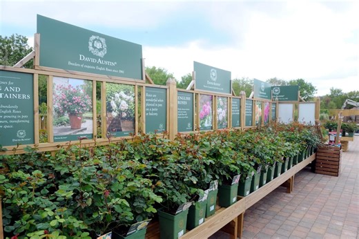 13 best garden centres in the Portsmouth area, according to Google reviews