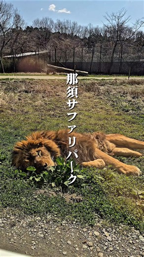 那須サファリパーク