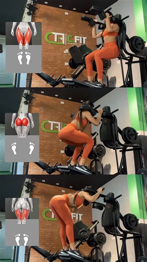 Graziella / Personal Trainer 🏋🏻‍♀️🚀 on Instagram: "Você sabia que o posicionamento dos pés no hack squat influencia o recrutamento muscular?🤔 Me segue para mais dicas 🏋🏻‍♀️📚🚀 #educaçãofisica #motivação #treino #dicasdetreino #saude"