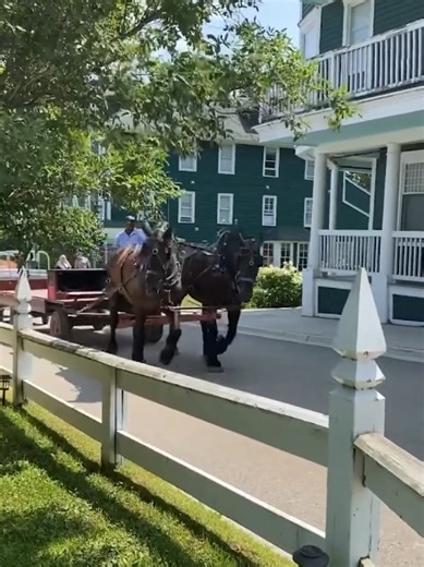 Discover the Wonders of Mackinac Island