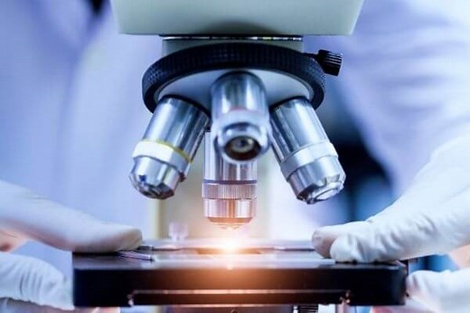 Origen del microscopio | Inventor del microscopio y su evolución |