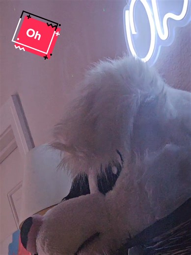 I swear I've seen it move on it's own ~~~~~~~~~~~~~~~~~~~~~~~ #furrytiktok #furry #fursuit #furryfyp #therian