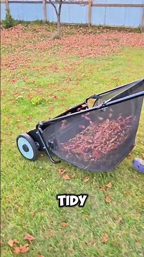 Eco-Friendly Clean-Up! Manual Lawn Sweeper for a Perfect Garden 🍂🌱 #shorts