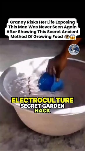 Hidden Places On Earth on Instagram: "Why is nobody paying attention to the war on natural abundance? The truth is in the stolen harvest. Here’s what they don’t tell you: ✅ Electroculture is the ancient, suppressed science of using atmospheric electricity and Earth’s natural frequencies to grow massive, nutrient-dense crops without GMOs, pesticides, or corporate seeds. Yields can increase 300% with zero chemicals. ✅ This man rediscovered and demonstrated the method publicly—using simple copper a