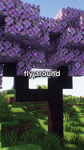 playlifestealnet on TikTok