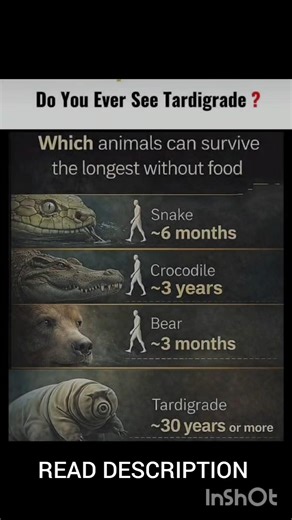 Do You Ever See Tardigrade? 🤯Which animals can survive the longest without food! #animalfacts#shorts