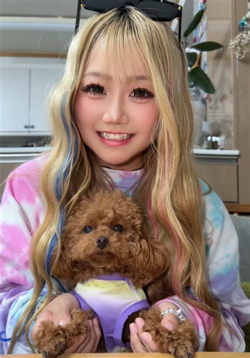 最後めっちゃ手なめるやん🐶🩵w#トイプードル#岡崎