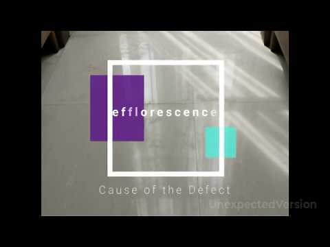 efflorescence on floor tiles - how to check the causes