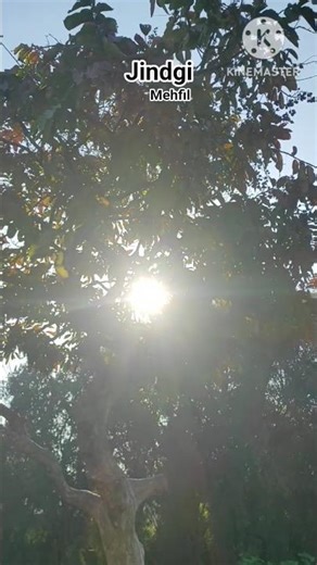 ye zindagi hai safar || tu safar ki manzil hai