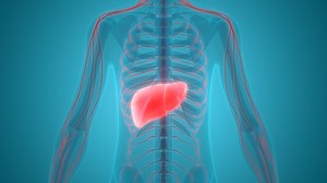How Coffee Enemas and Liver-Gallbladder Flushes Improve Your Health By Stimulating Your Liver To Eliminate Toxins — Back to Natural Health