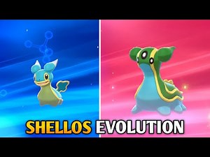 How To Evolve Shellos Into Gastrodon In Pokemon Sword & Shield | Galar Pokedex