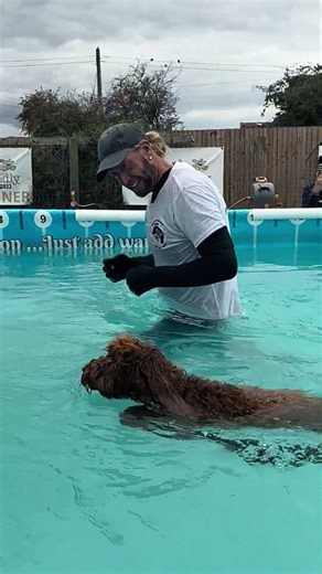 Cockapoo puppy Leo building up his swimming confidence 💦💕🐾🇬🇧