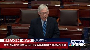 154K views · 5.6K reactions | WATCH: Sen. McConnell on US Capitol insurrection: "The mob was fed lies. They were provoked by the president and other powerful people, and they tried to use fear and violence to stop a specific proceeding of the first branch of the federal government which they did not like." | NBC News | Facebook