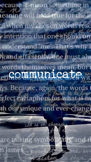 Communicate Efficiently —“Words Have No Meaning” clip #shedtheimposter #communication #communicate