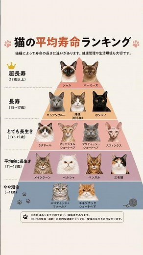 [Giipet] あなたの猫はどのグループ？🐱平均寿命ランキング #猫 #猫のいる暮らし #猫好きさんと繋がりたい #猫雑学 #fyp #fypシ #fypシ゚viral