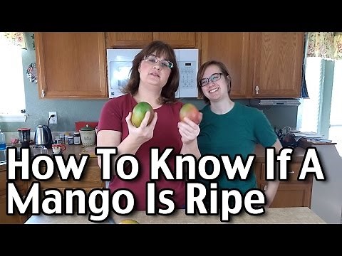 How To Know If A Mango Is Ripe