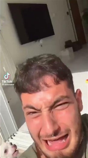 This Yorkie is NOT Like Other Dogs: What Happens When He Gets Angry!