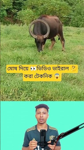 Viral Techniques of Raising Buffalo