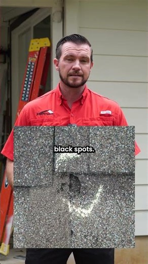 Tips for checking for roof damage after heavy rain➡️