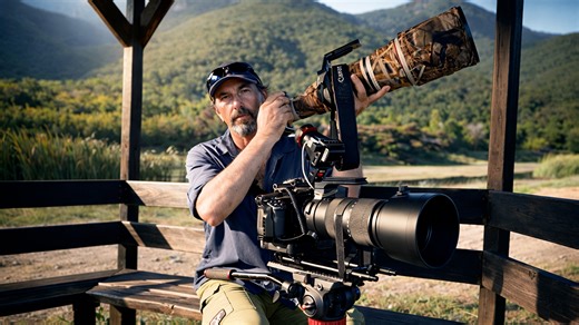 14 tips for better wildlife filming in the field