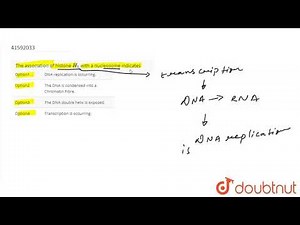 The association of histone `H_(1)` with a nucleosome indicates
