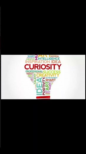 Hold on tight my compass is curiosity my compass is curiosity