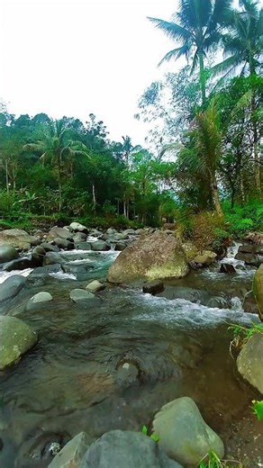 "River & Cicadas ASMR 🌊🐞 Summer Nature Calm" #shortsvideo #cicadas #asmr