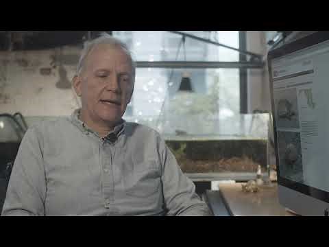 Keeping Mud Turtles indoors in a Natural Ecosystem