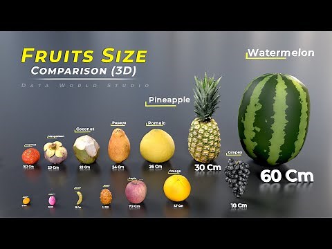 Fruit size comparison | 🍍🍎🍓🍇 | Fruits name | Size comparison | fruit | world data