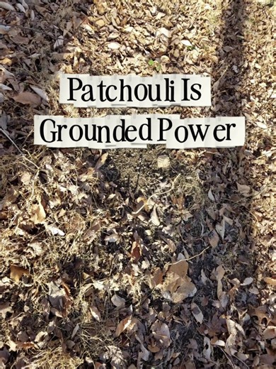 🌿 Patchouli is grounded power. In witchcraft folklore, it’s linked to earth magic and manifestation. Traditionally used for: 🌱 Grounding scattered energy 💰 Abundance symbolism 🛡️ Protective work ✨ Anchoring intentions Heavy scent. Strong roots. #witchytiktok #witchesoftiktok🔮🌙 #witchyvibes #witchapothecary #witchtips