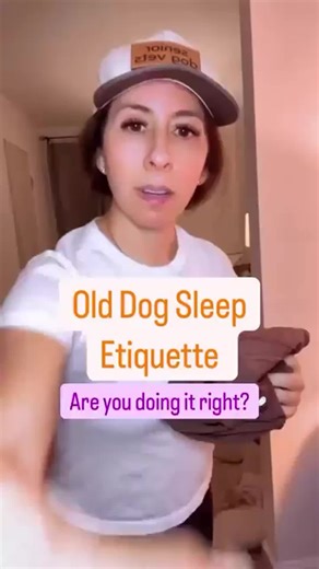 Sleep Etiquette Tips for Your Senior Dog