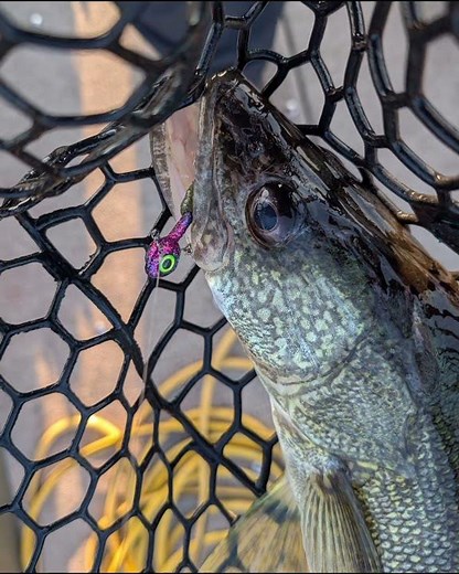 First outing on Lake Erie for 2026. Casting was a blast! #lakeerie #walleye #ldnont