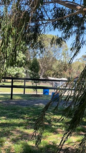 Arno River enjoying the sprinklers now the weather is warming up 🥵 | Dunstan Lodge