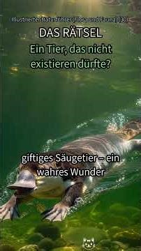 30. Entdecke das SCHNABELTIER: Ist es ein VOGEL? Ein SÄUGETIER? Oder ein ALIEN? 🤯 #Schnabeltier